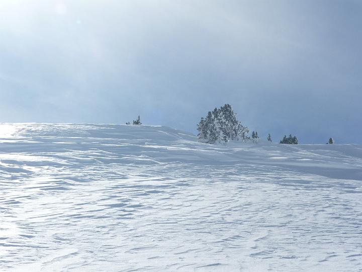 Tarbesou_2010 014.jpg